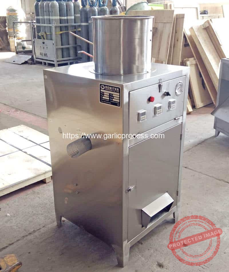 Russia-Garlic-Peeling-Machine